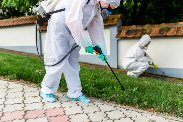 Commercial Pest Control in Northwest Arkansas